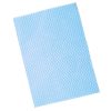 CleanWorks Cloth Blue