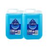 Carex Professional Hand Wash